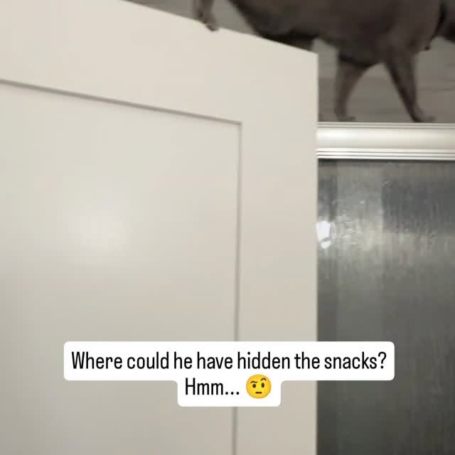  ......n_boris   'recent posts' 