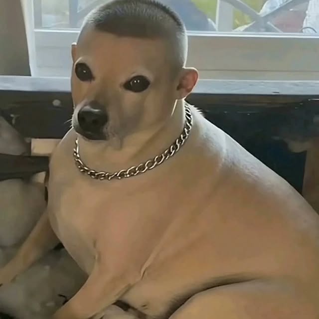  ......rposts   'recent posts' 