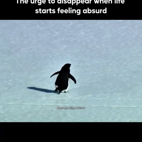  ...........th_servicess   'recent posts' 