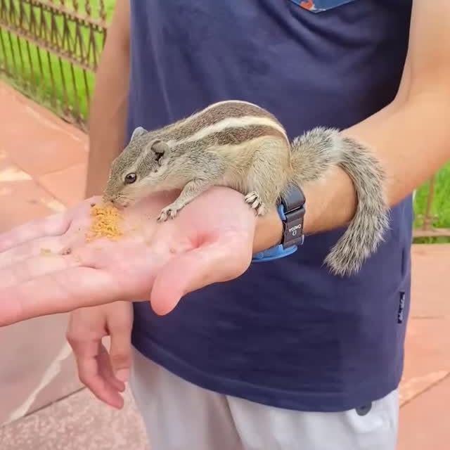  ..arn   'recent posts' 