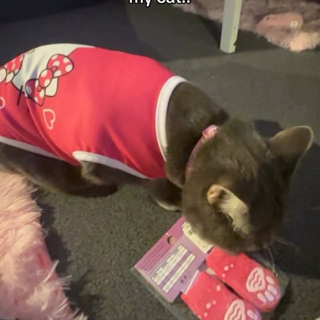  .....li9ht   'recent posts' 