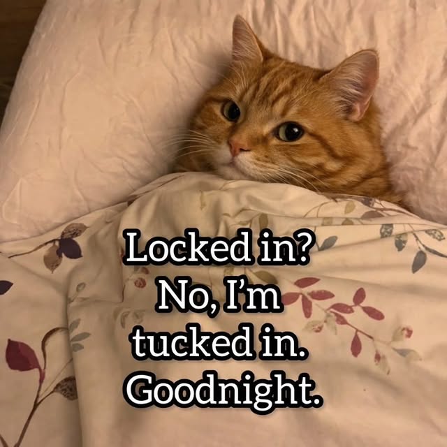  ......nd.kits   'recent posts' 