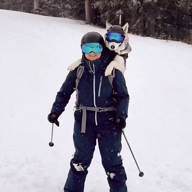  .....eteers   'recent posts' 