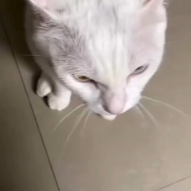  .....li9ht   'recent posts' 