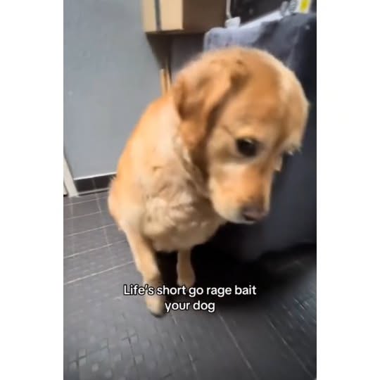  .....ibess   'recent posts' 