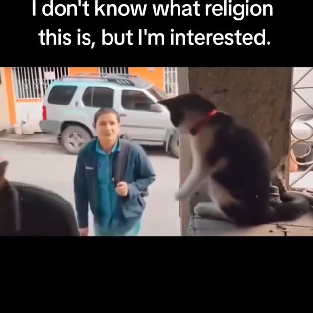  .......altitans   'recent posts' 