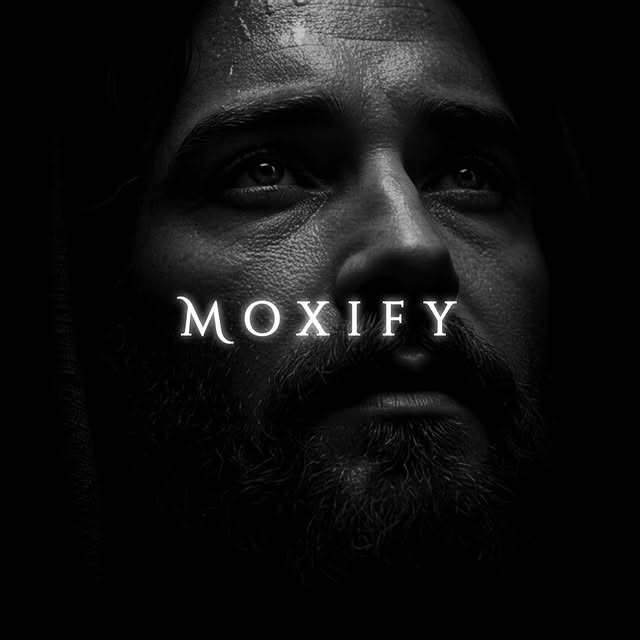  ....fy.ai   'recent posts' 