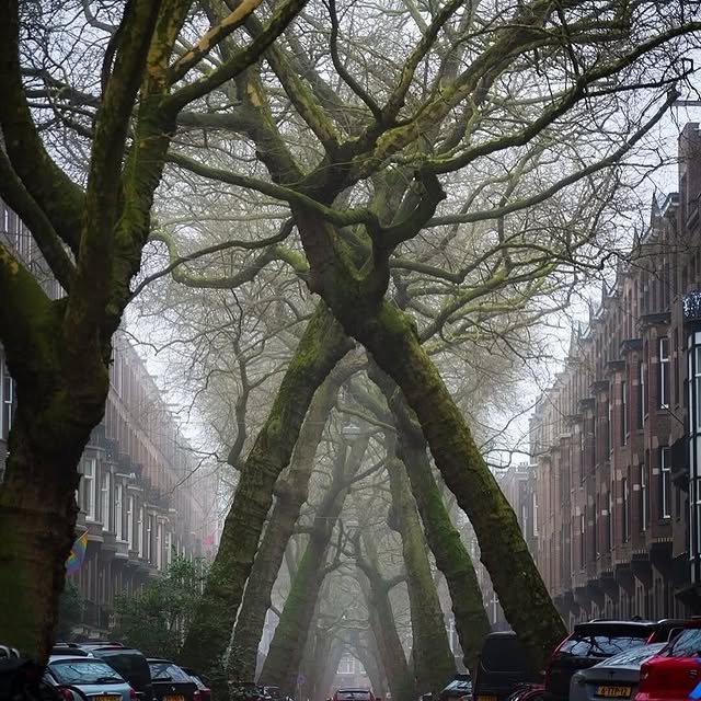  .......refervor   'recent posts' 