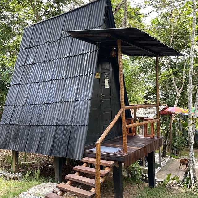  .......sespics   'recent posts' 