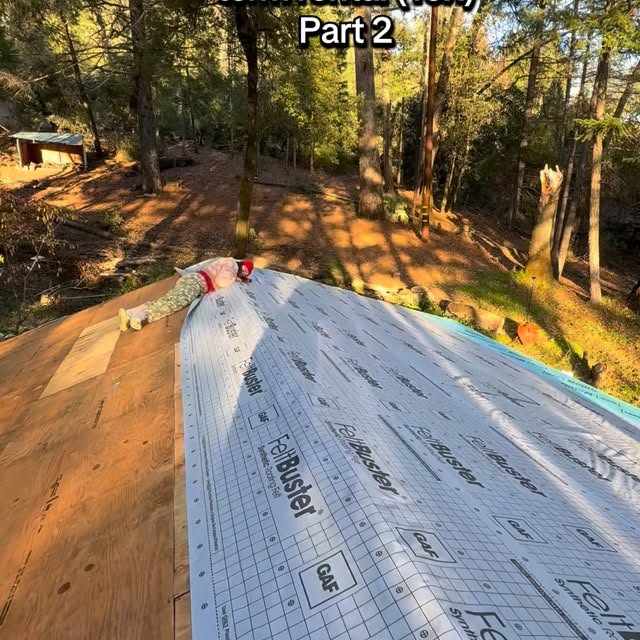  ......_diana   'recent posts' 