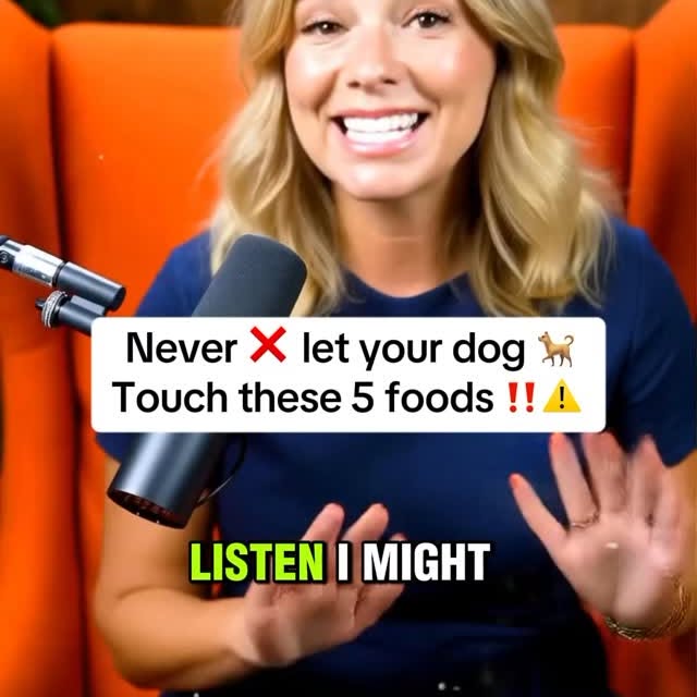  ..........n.retriever   'recent posts' 