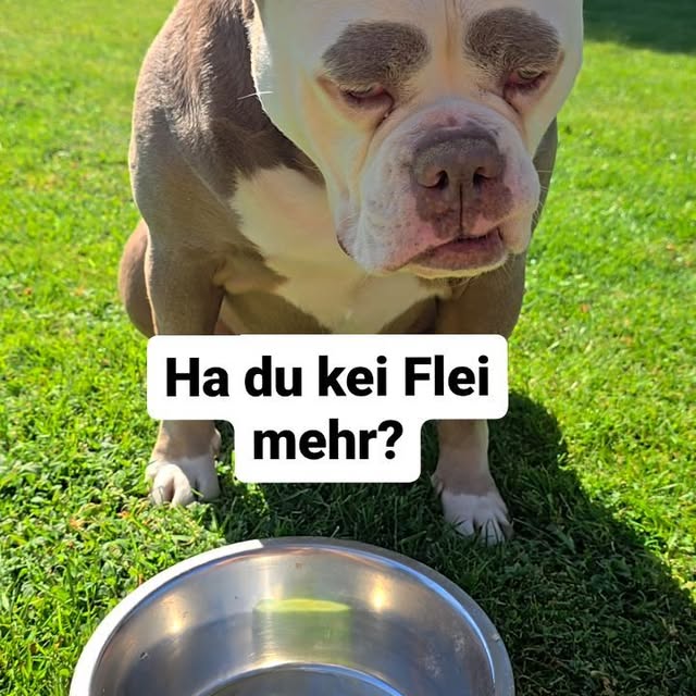  .......eyebrows   'recent posts' 