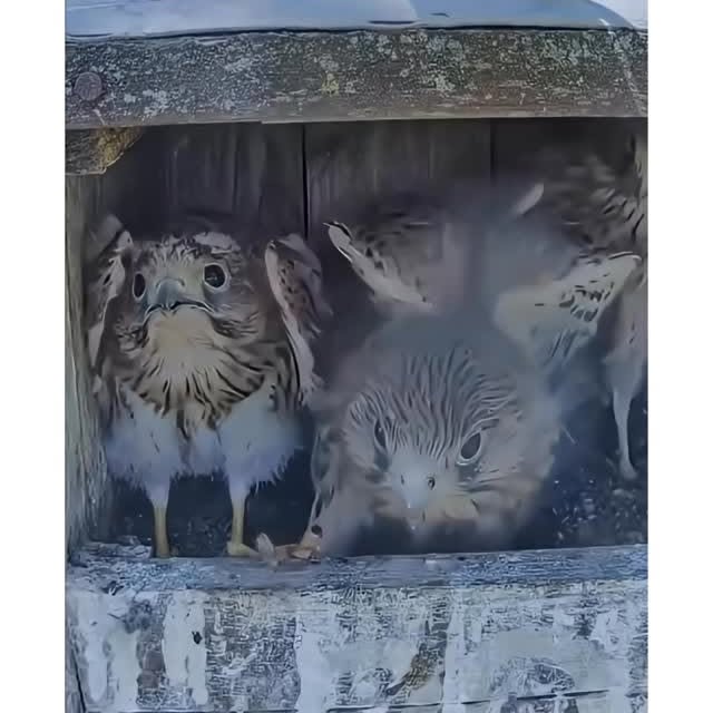  ........eos_fr_us   'recent posts' 