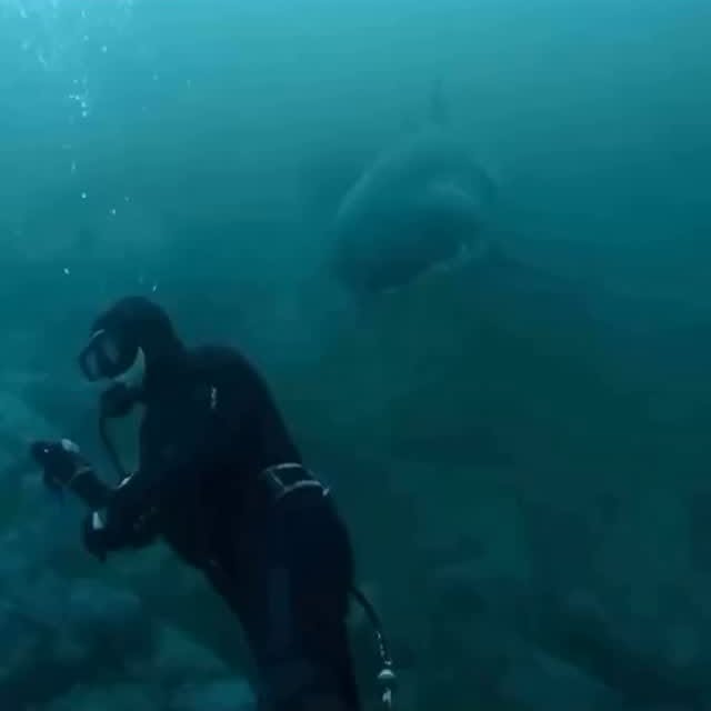  .........arkattacks   'recent posts' 