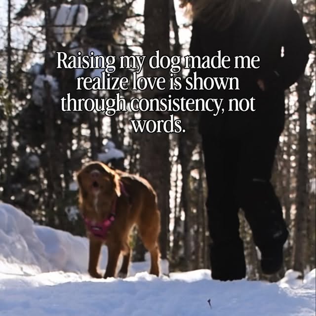  ......atoller   'recent posts' 