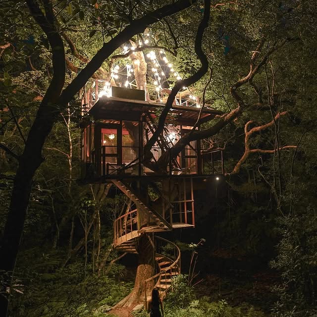  .......sespics   'recent posts' 