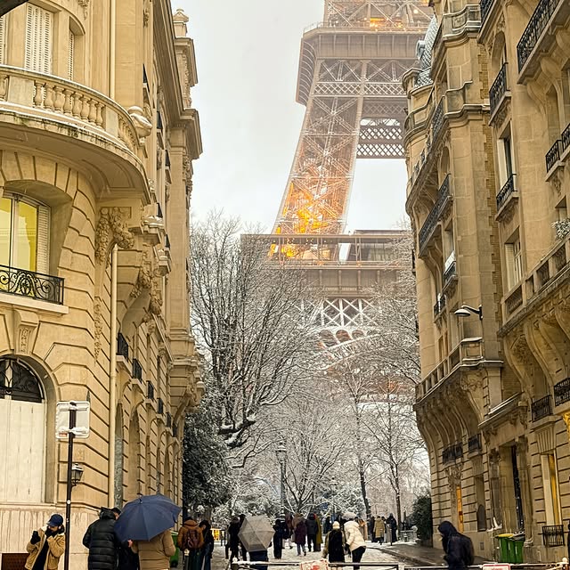  .............sienne_number1   'recent posts' 