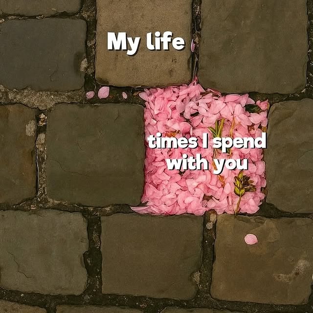  ......nlives   'recent posts' 