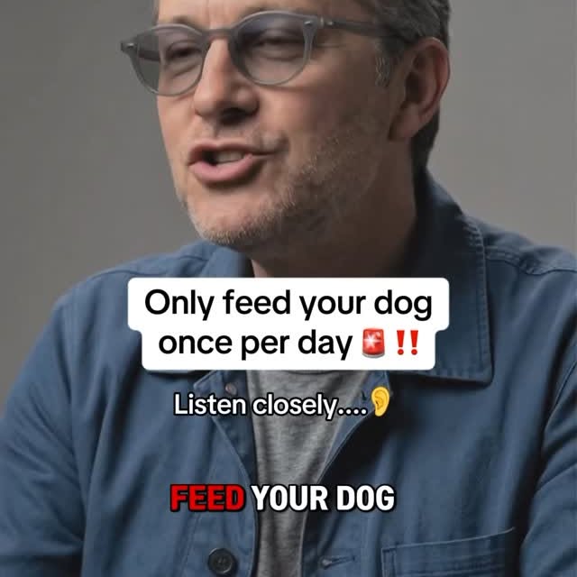  ..........n.retriever   'recent posts' 