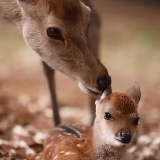  ........vacations   'recent posts' 