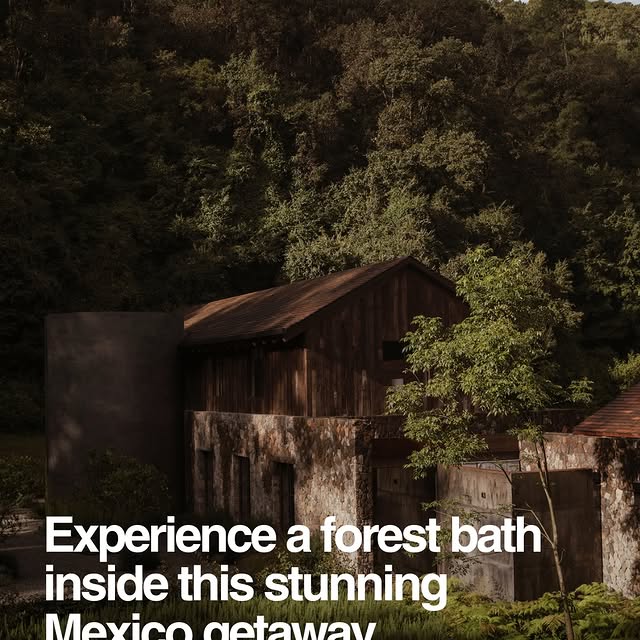  ....dose   'recent posts' 