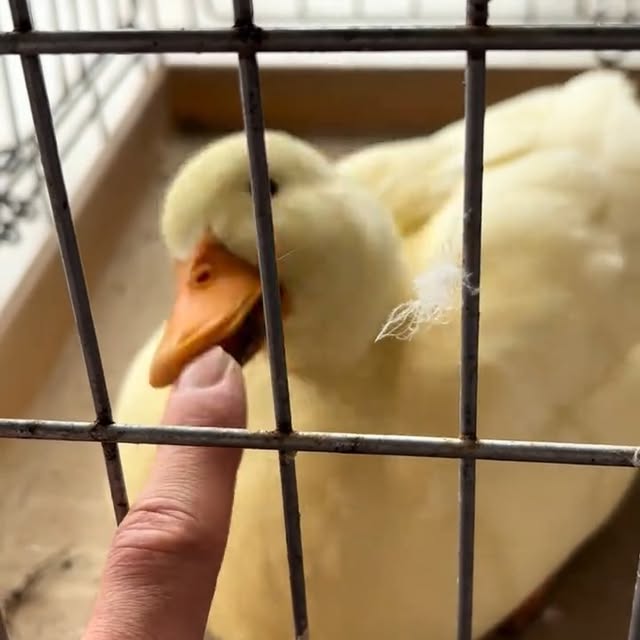  ........ckstatue   'recent posts' 