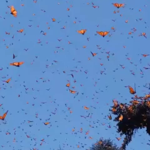  ......erfever   'recent posts' 