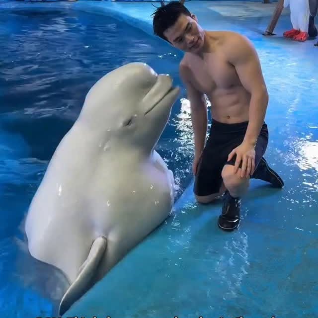  ........vel.club   'recent posts' 