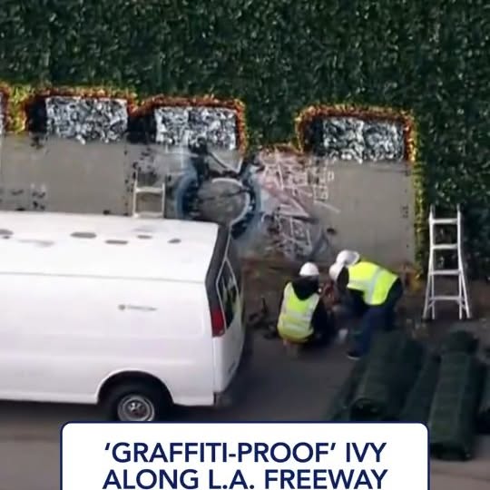  .......affitis   'recent posts' 