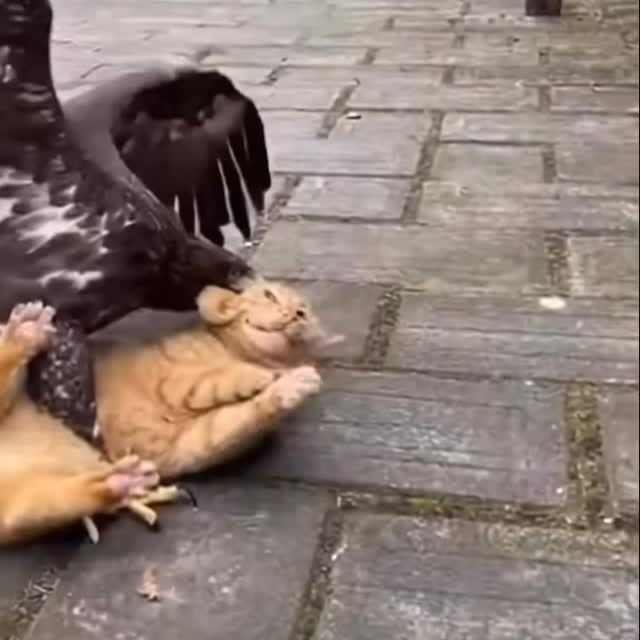  .......plorers   'recent posts' 