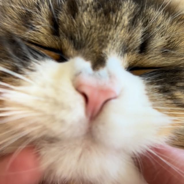  ......adamus   'recent posts' 