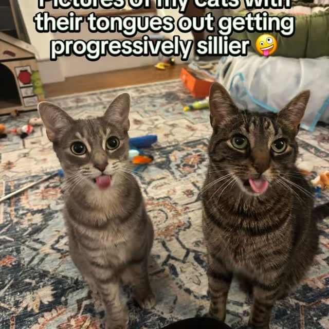  ...........irtonguesout   'recent posts' 