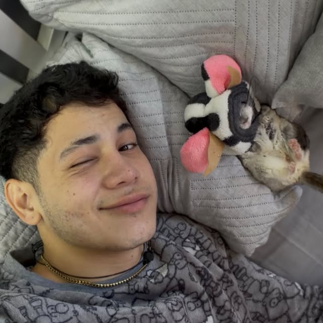  ........del_exito   'recent posts' 