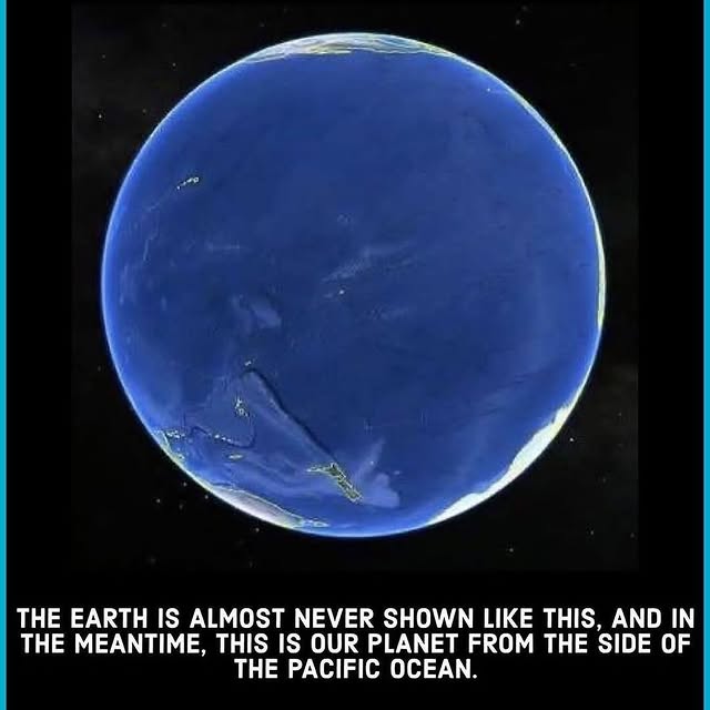  ......seviewz   'recent posts' 