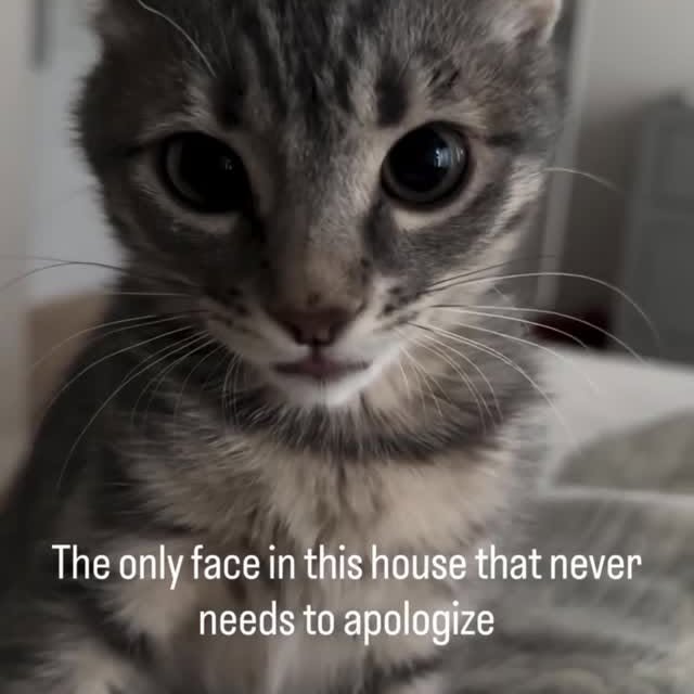  ...........irtonguesout   'recent posts' 