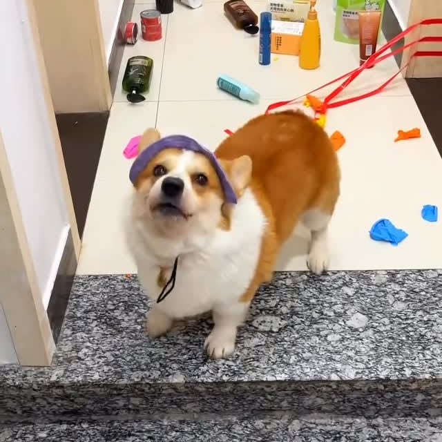  ...urre   'recent posts' 