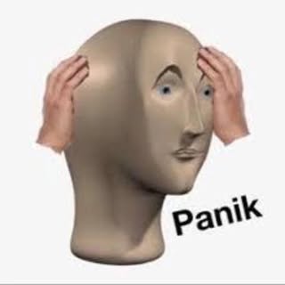 Hire .....memed influencer with 108k