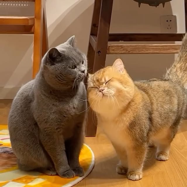  ...sjpg   'recent posts' 