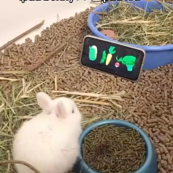  ......torque   'recent posts' 