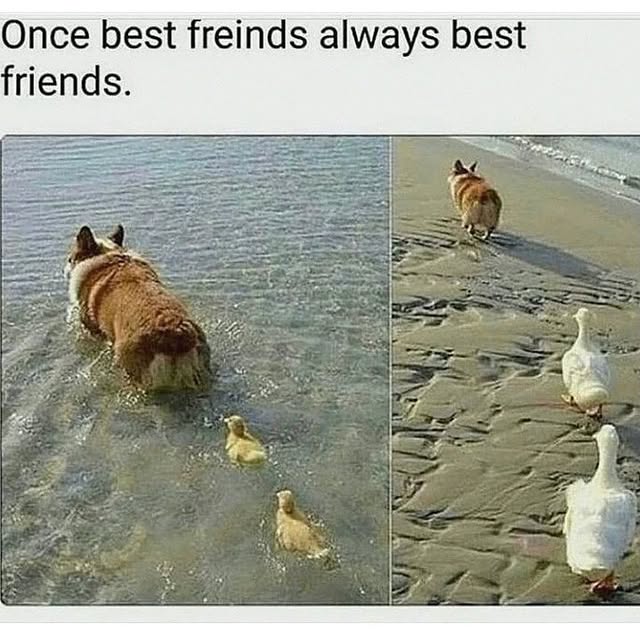  .........nuniverse   'recent posts' 