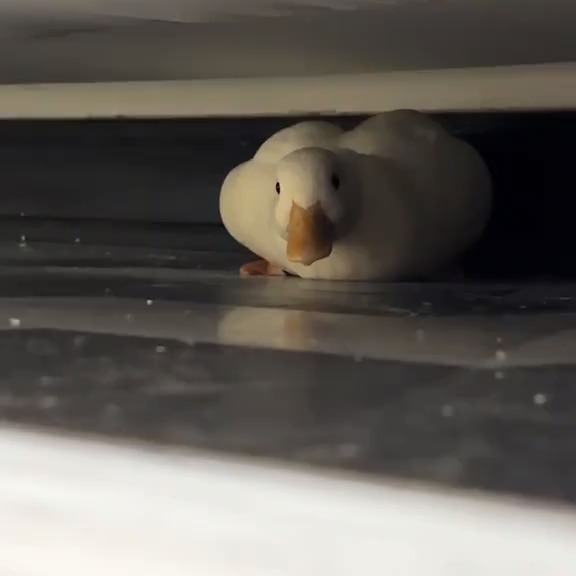  ........ckstatue   'recent posts' 