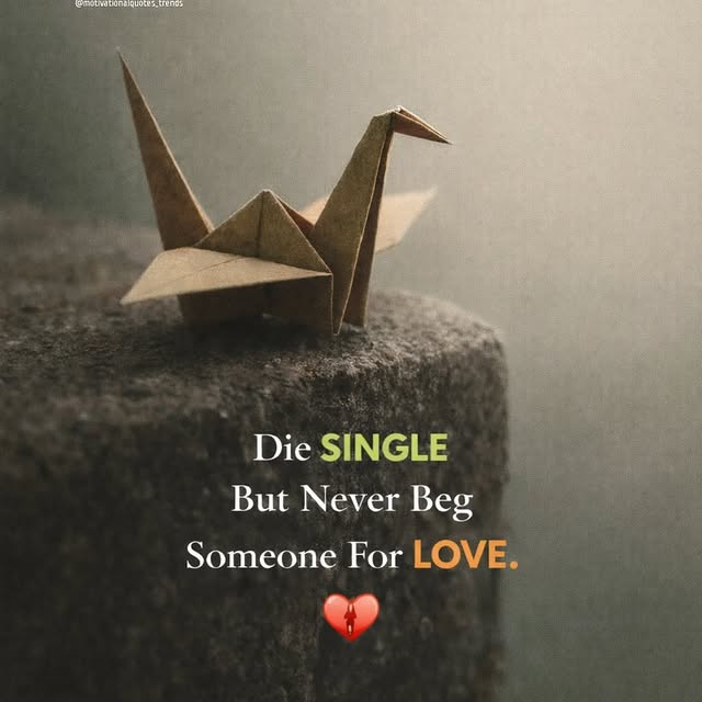  ............quotes_trends   'recent posts' 