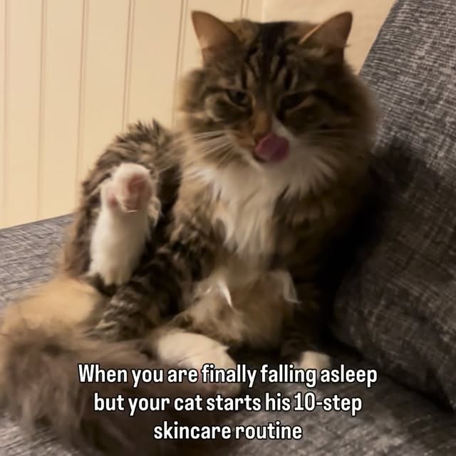  ...........irtonguesout   'recent posts' 