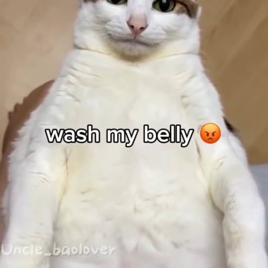  .....memes   'recent posts' 