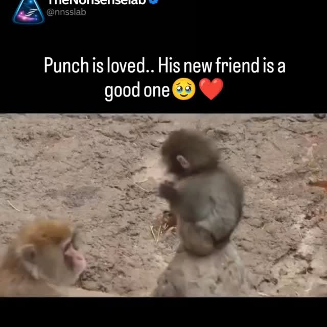  ...slab   'recent posts' 