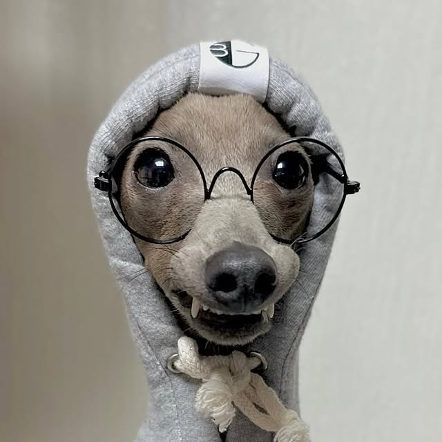  .....eiggy   'recent posts' 