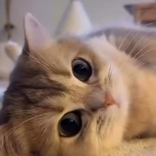  .....ns.hub   'recent posts' 