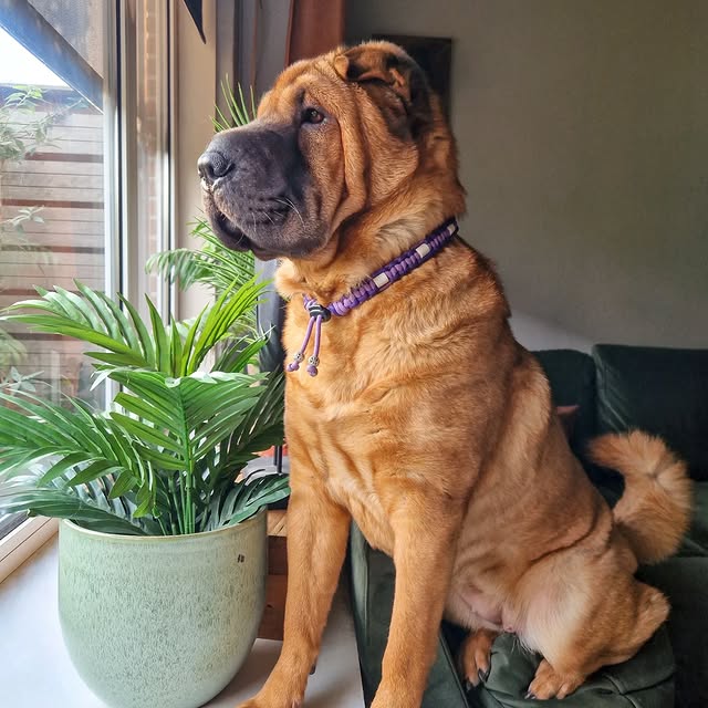  ......i.world   'recent posts' 