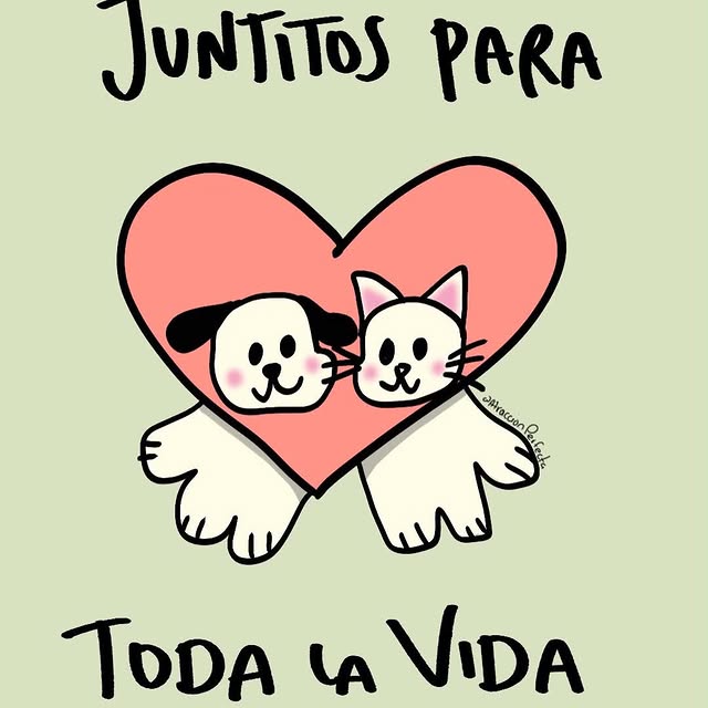 ........nperfecta   'recent posts' 