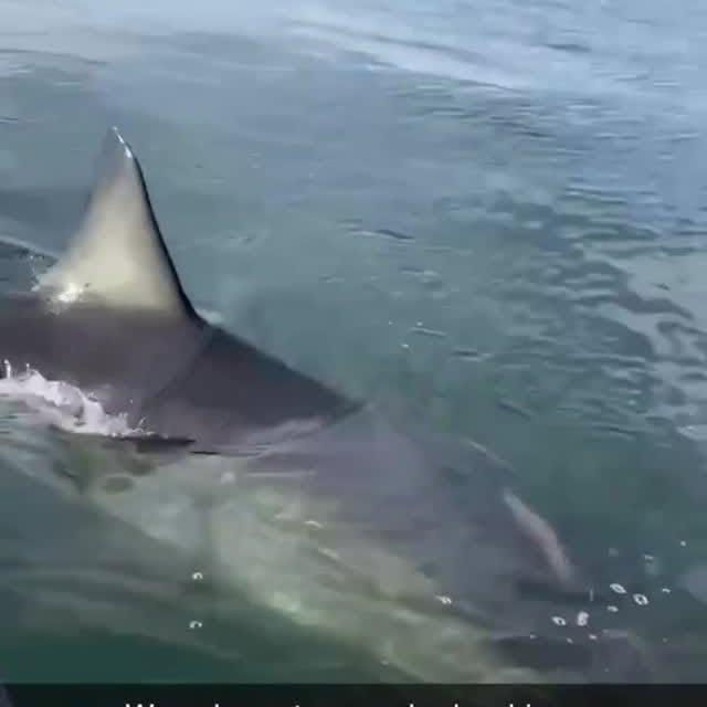  .........arkattacks   'recent posts' 